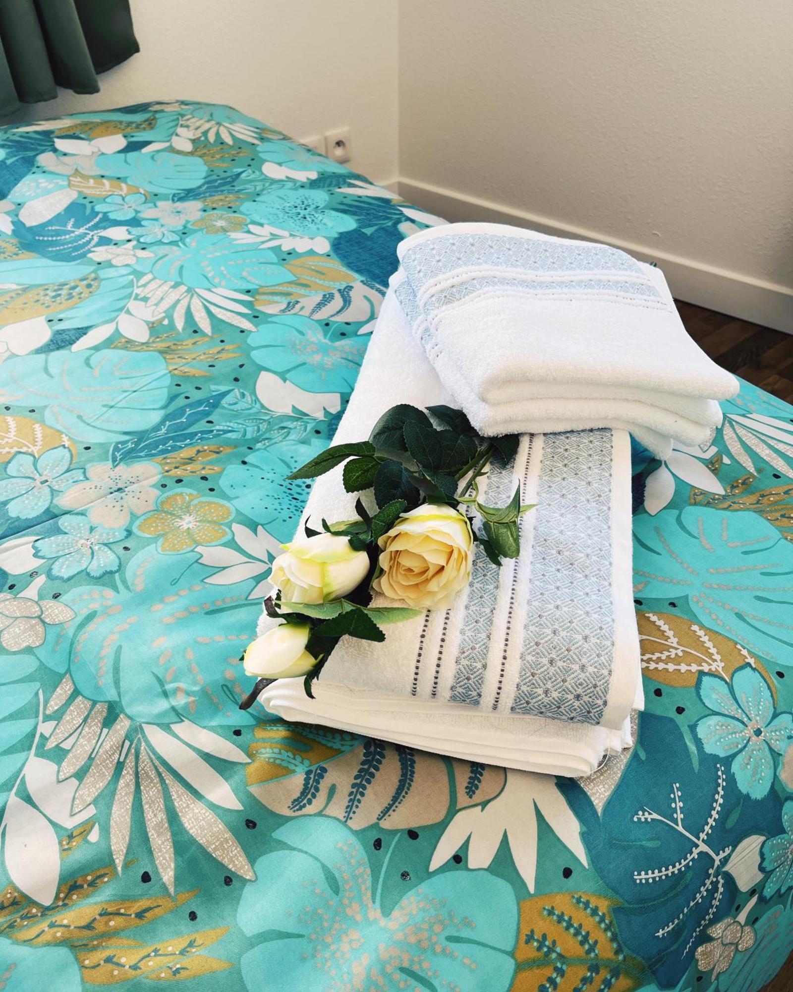 Appartement Chez Rose Narbonne Ngoại thất bức ảnh